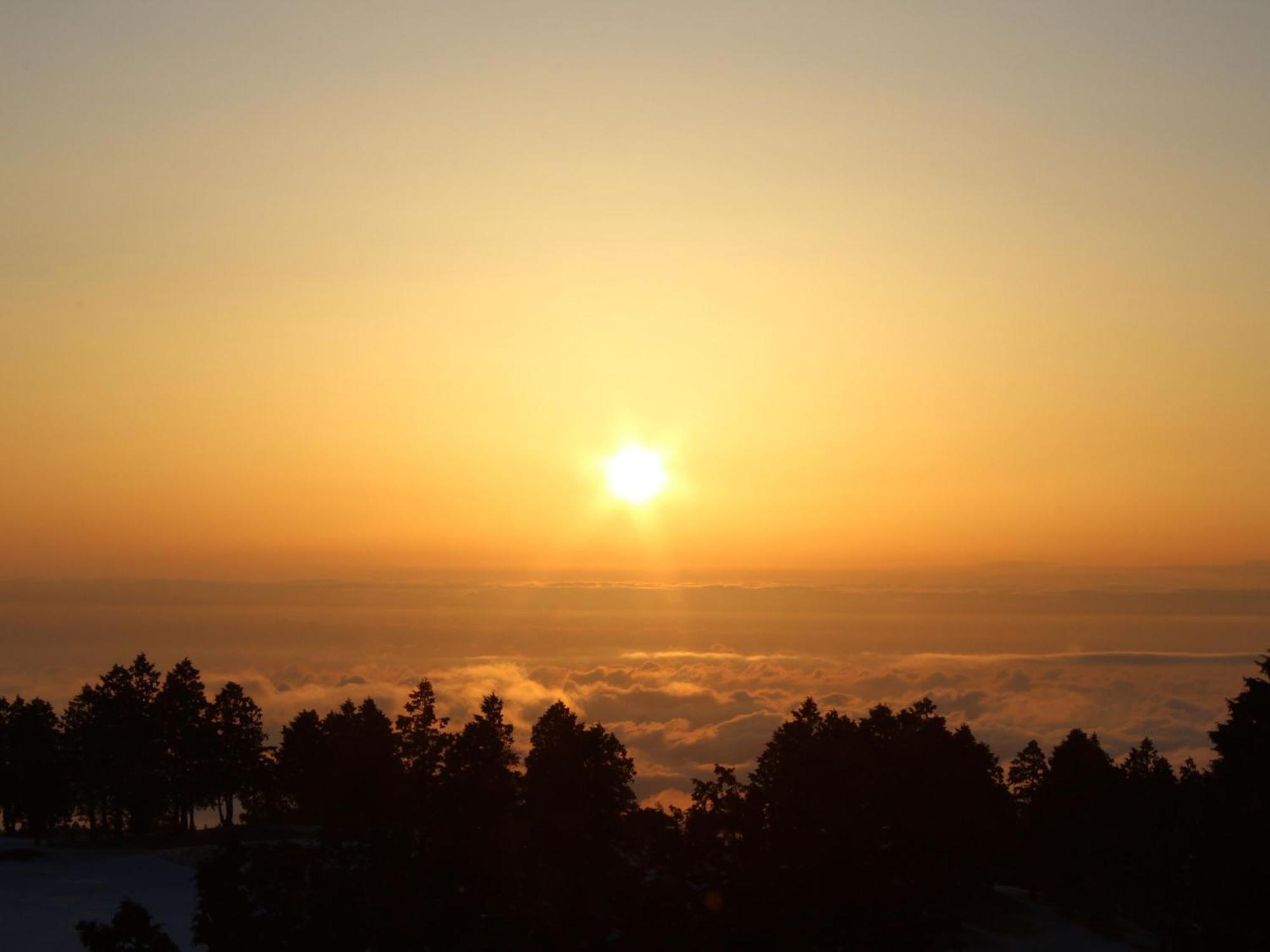 Hakone Yunohana Prince Hotel Kanagawa Экстерьер фото
