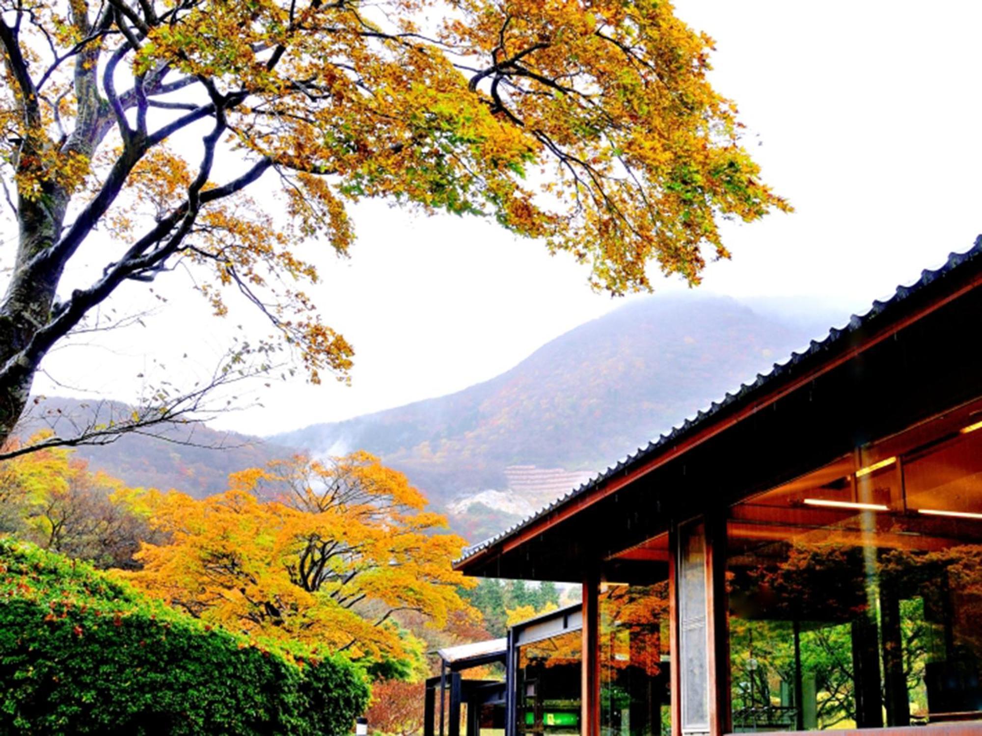 Hakone Yunohana Prince Hotel Kanagawa Экстерьер фото