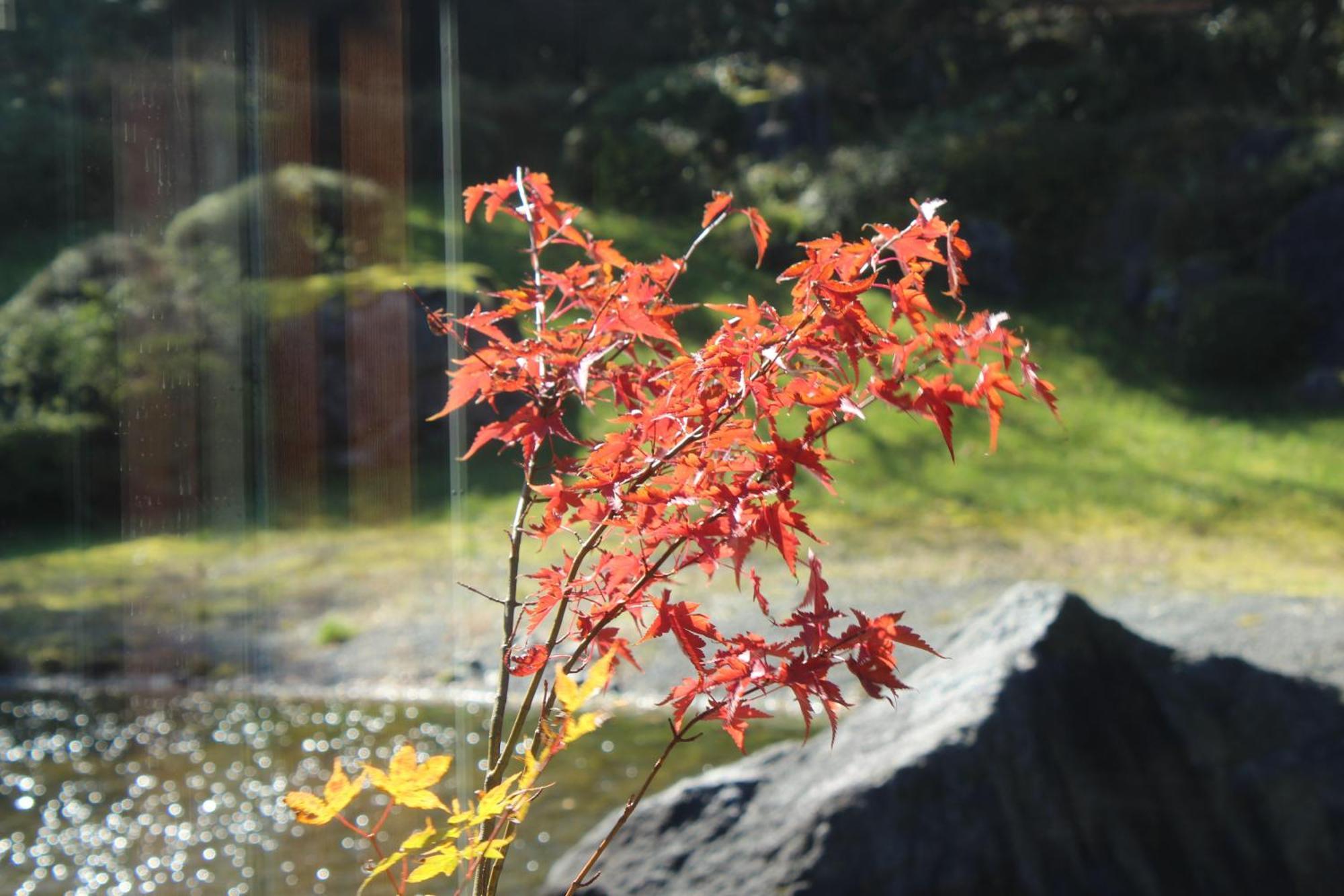 Hakone Yunohana Prince Hotel Kanagawa Экстерьер фото